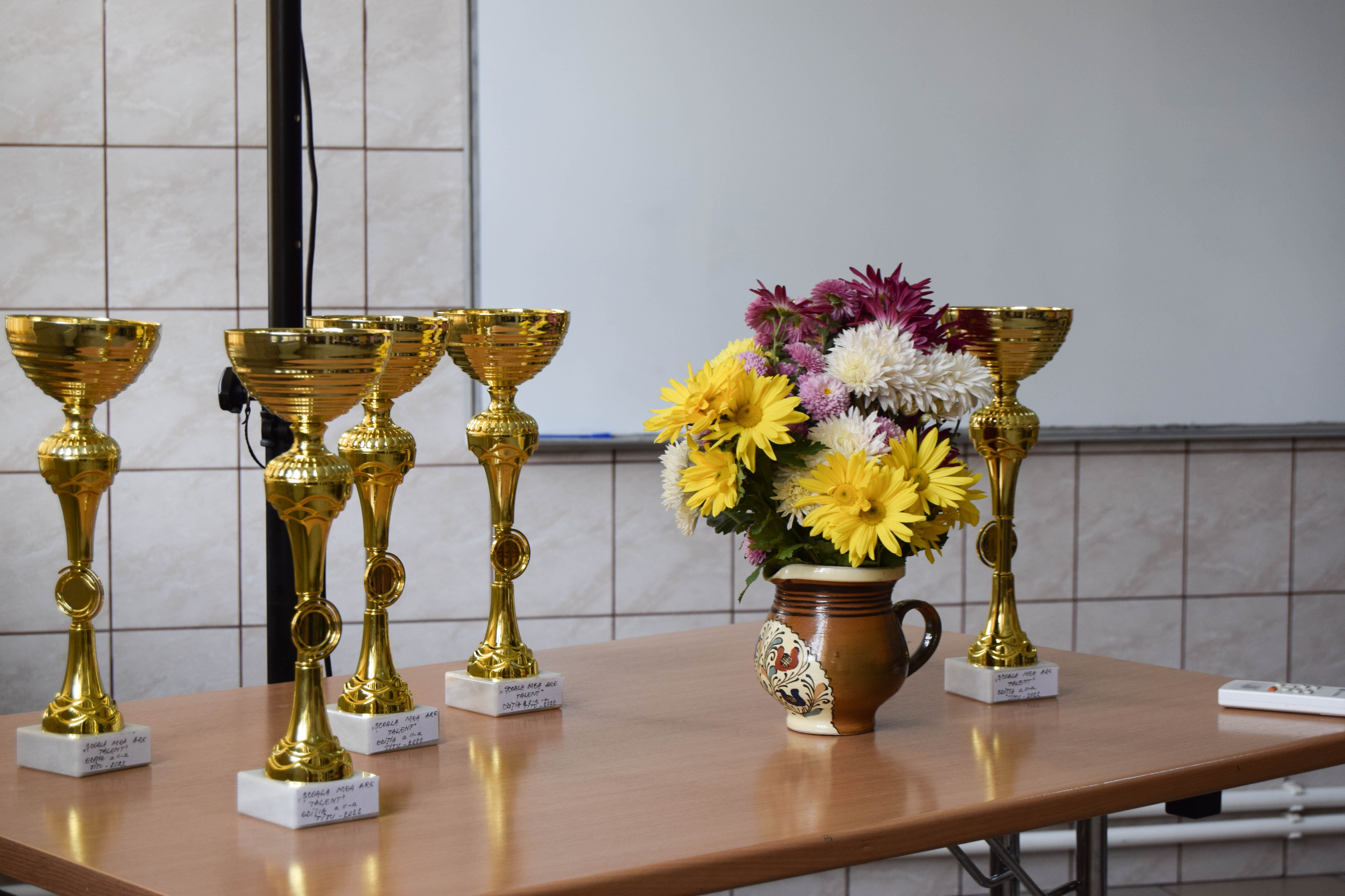 Scoala mea are talent